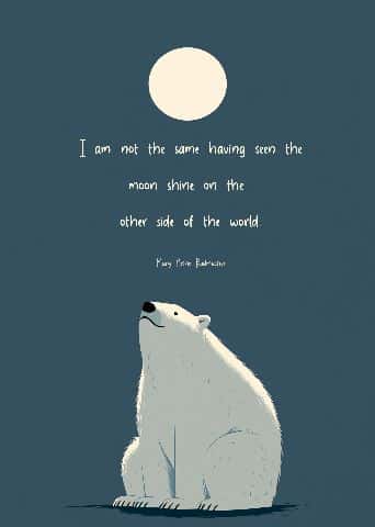 I am not the same having seen the moon shine on the
other side of the world. — Mary Anne Radmacher